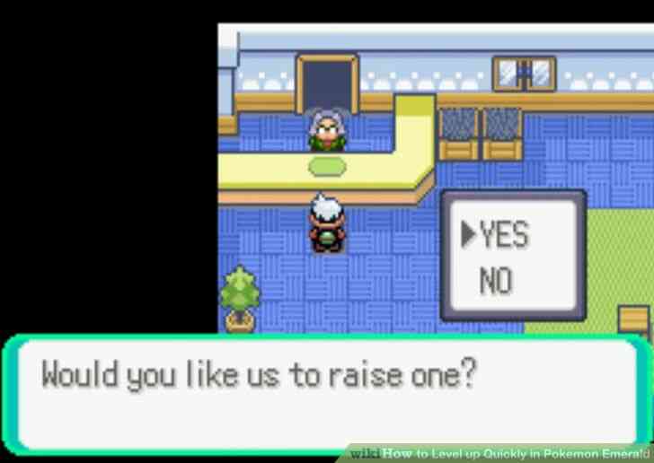 Image intitulee monter de Niveau Rapidement dans Pokemon Emerald l